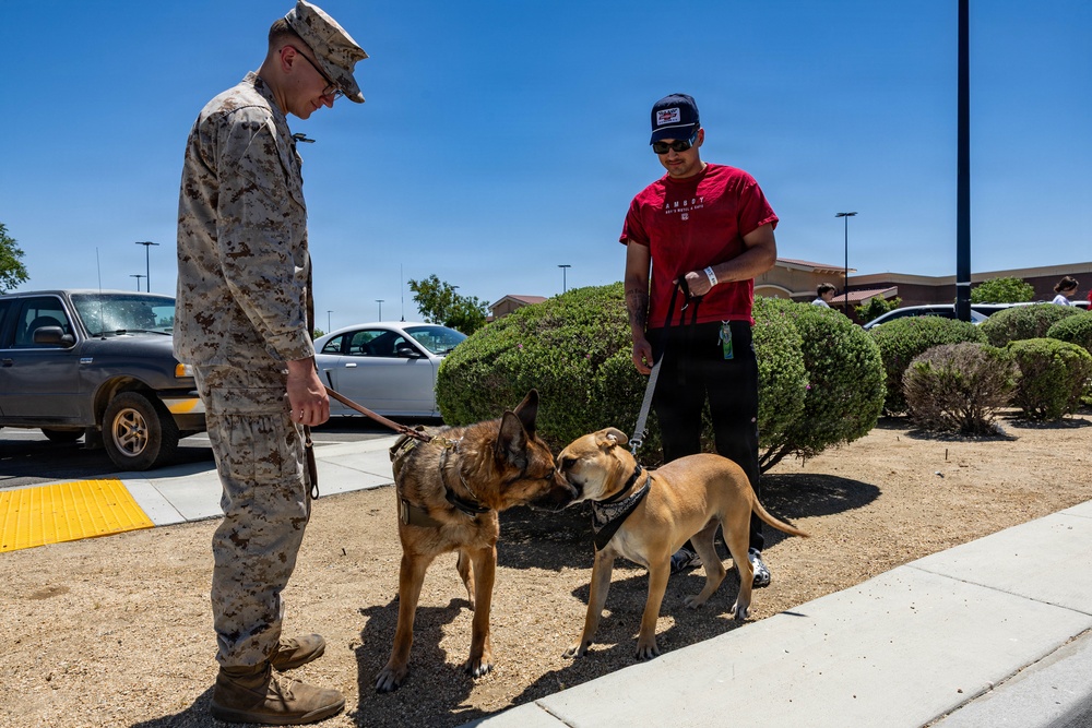 USMC K9 handlers give a demo at the Help Yourself, Help Your Neighbor event