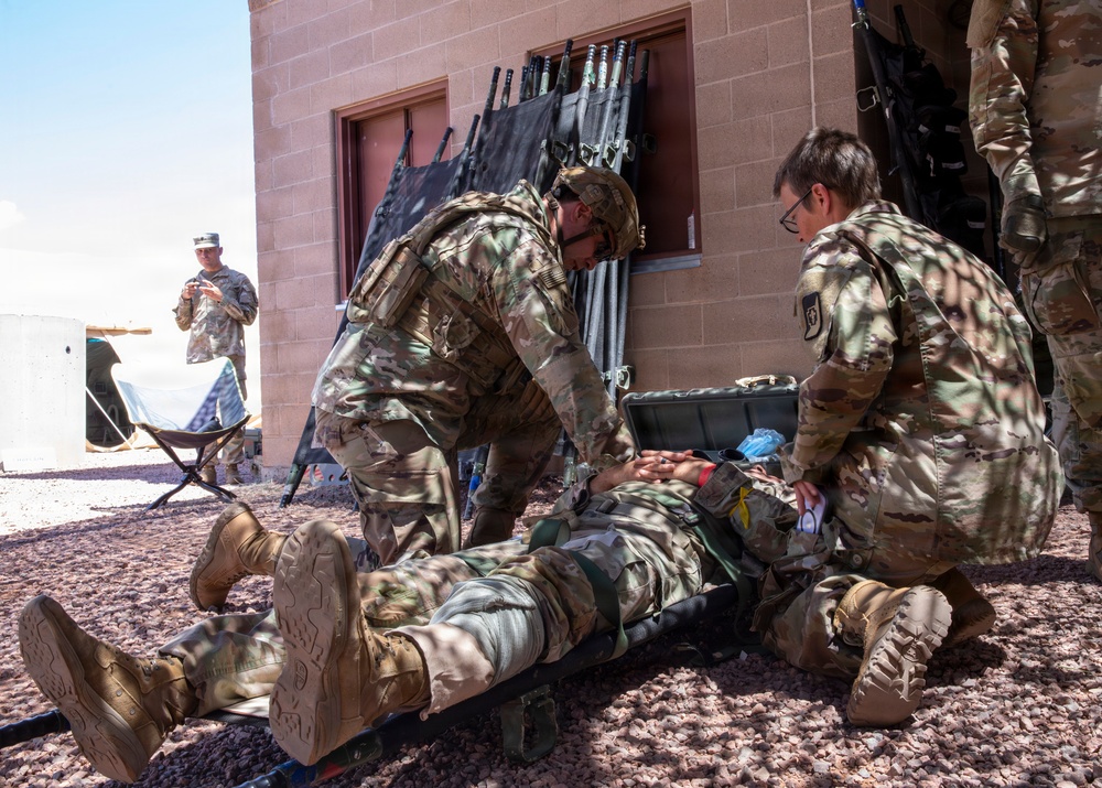 Ivy Mass: Simulated Mass Casualty Event