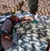 Ivy Mass: Simulated Mass Casualty Event