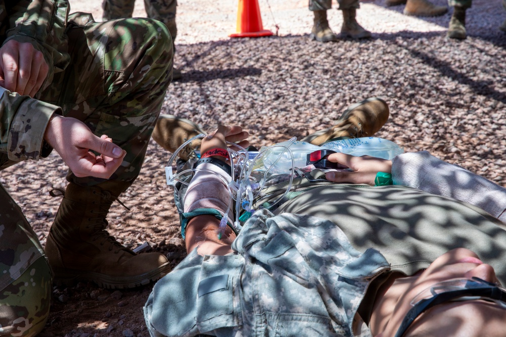 Ivy Mass: Simulated Mass Casualty Event