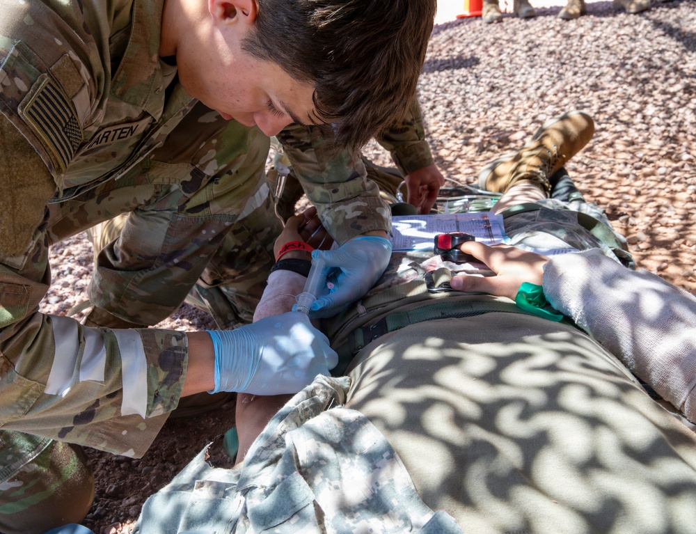 Ivy Mass: Simulated Mass Casualty Event
