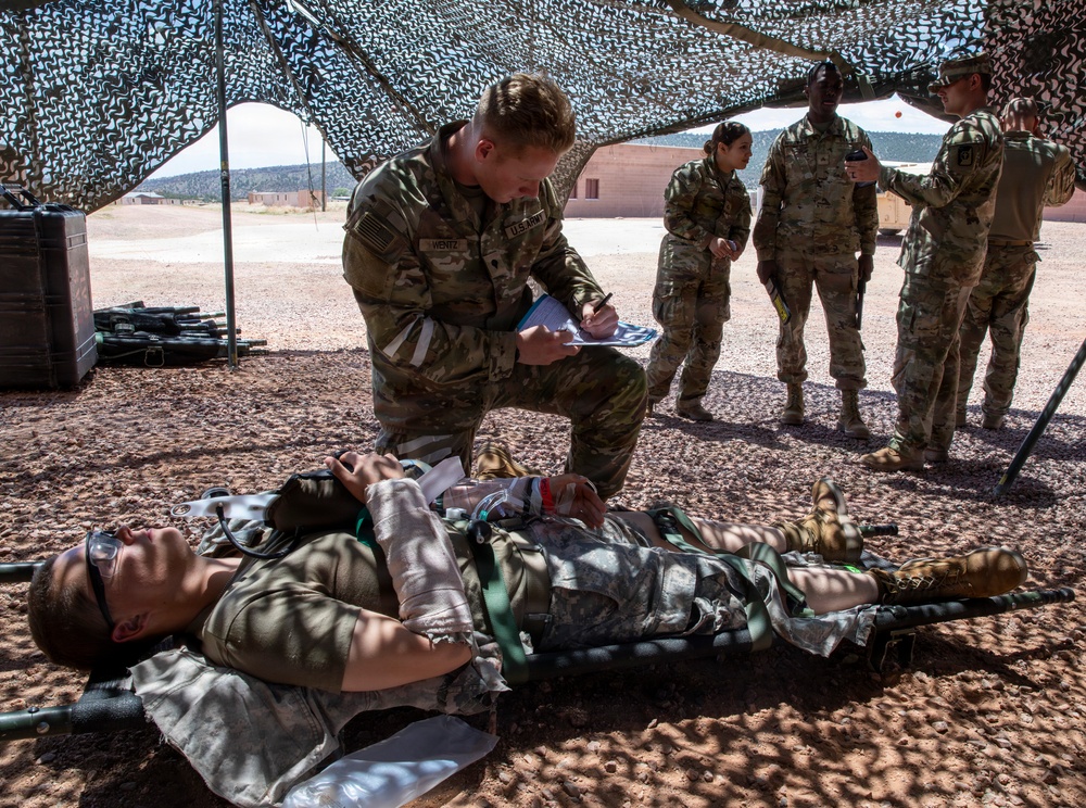 Ivy Mass: Simulated Mass Casualty Event