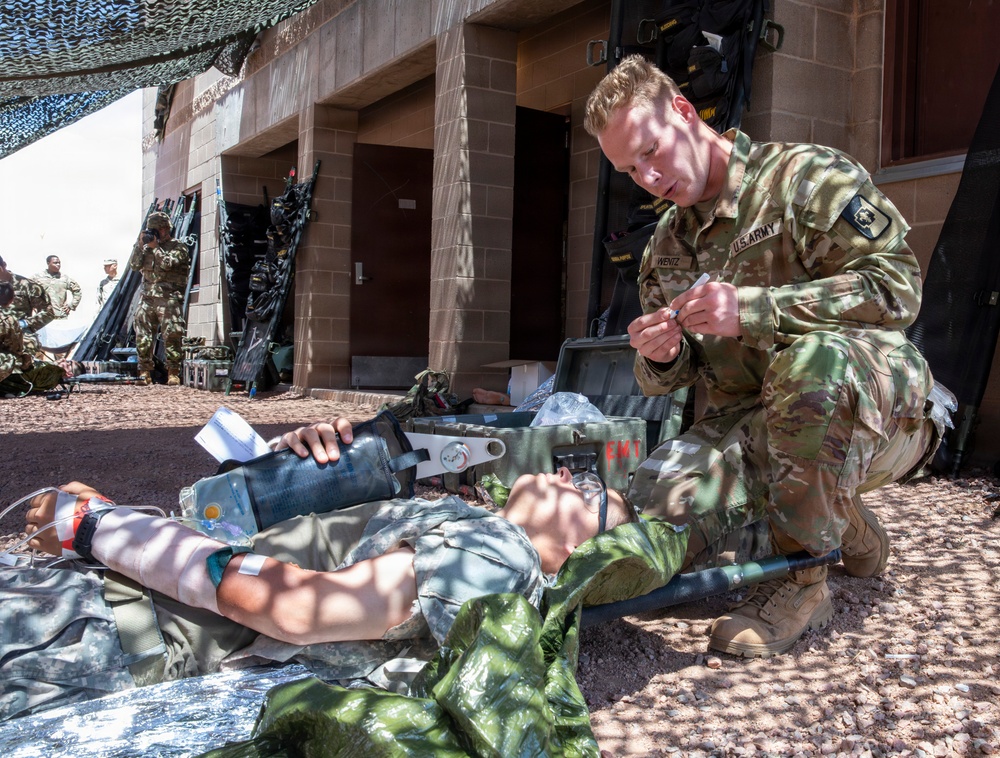 Ivy Mass: Simulated Mass Casualty Event