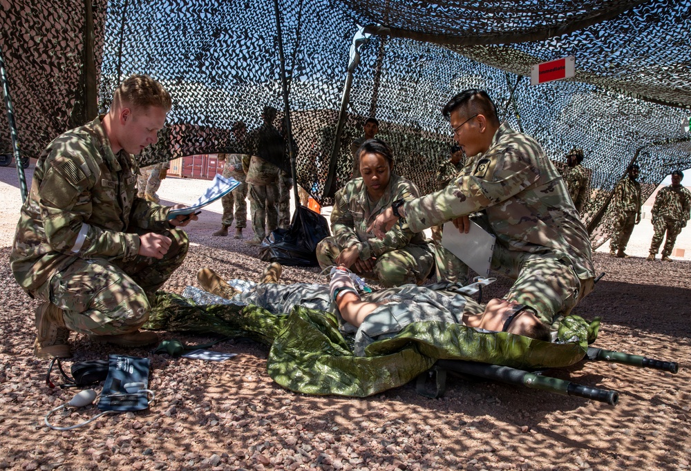 Ivy Mass: Simulated Mass Casualty Event
