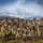3-157 FAR Conducts HIMARS Exercise