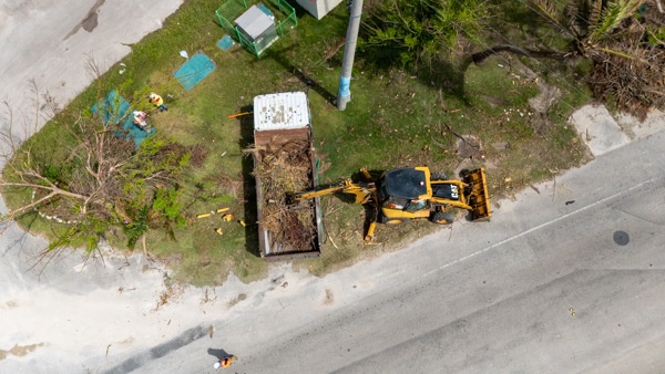 Clearing the Way Along Beach Road
