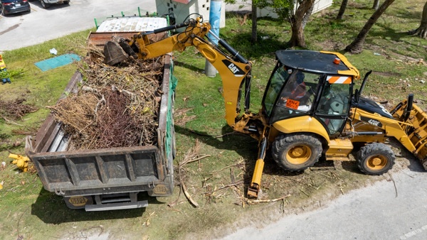 Clearing the Way Along Beach Road