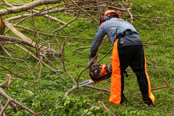 Crews Begin Clearing Marpi's Storm Debris
