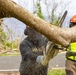 Crews Begin Clearing Marpi's Storm Debris