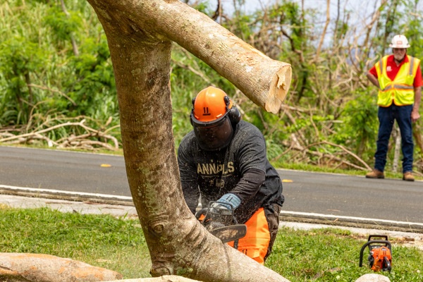 Crews Begin Clearing Marpi's Storm Debris