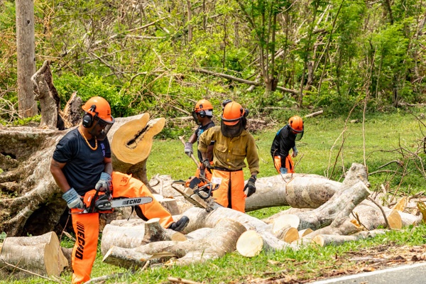 Crews Begin Clearing Marpi's Storm Debris