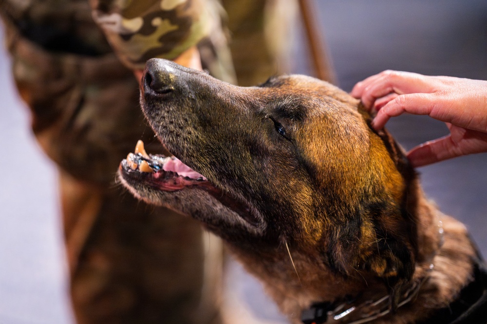 374 SFS bids farewell to military working dogs