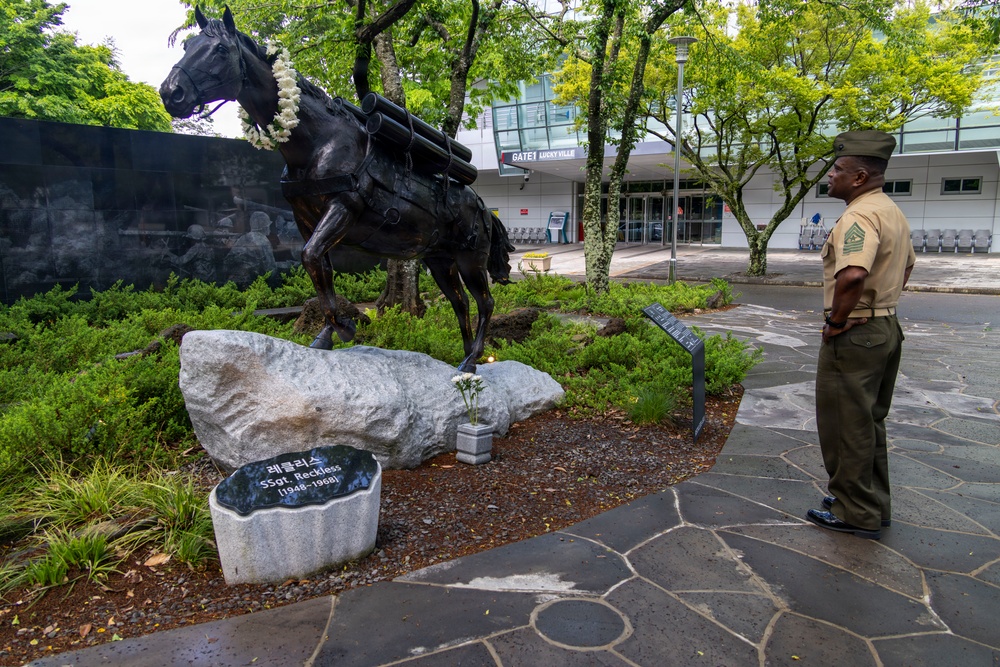MARFORK Attends Staff Sgt. Reckless Wreath-Laying Ceremony