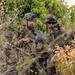 Salaknib 2026: 2-27 IN Engages OPFOR at JPMRC-X