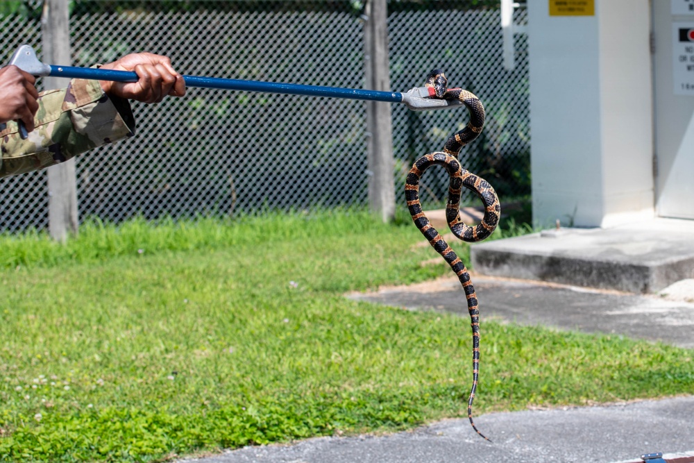 Venomous threats meet prepared forces