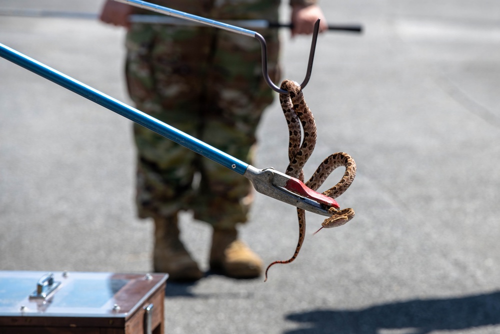 Venomous threats meet prepared forces