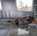 EODMU 8 and Royal Norwegian Navy conduct Improvised Explosive Device Drill during Bilateral Exercise