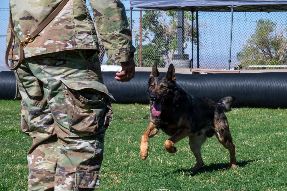 377th SFS participates in Police Week K-9 competition