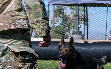 377th SFS participates in Police Week K-9 competition