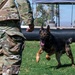 377th SFS participates in Police Week K-9 competition