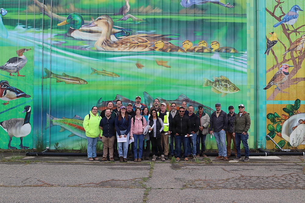 Revisiting a Lower American River erosion protection project