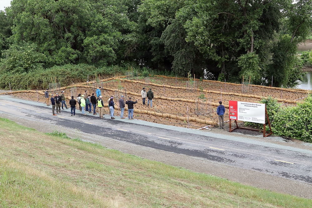 Revisiting a Lower American River erosion protection project