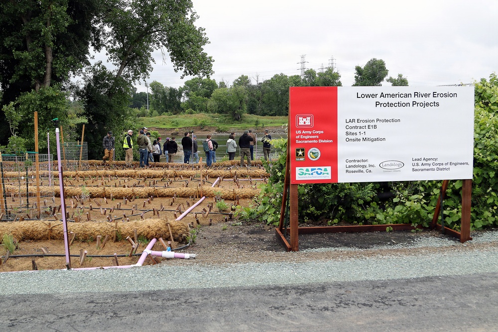 Revisiting a Lower American River erosion protection project
