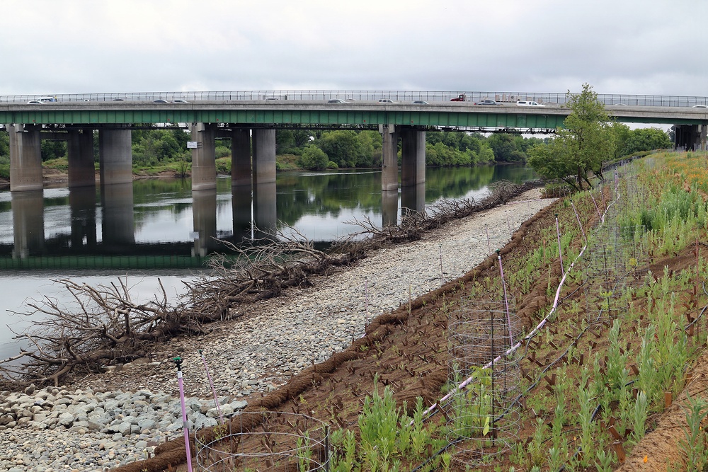 Revisiting a Lower American River erosion protection project