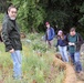 Revisiting a Lower American River erosion protection project