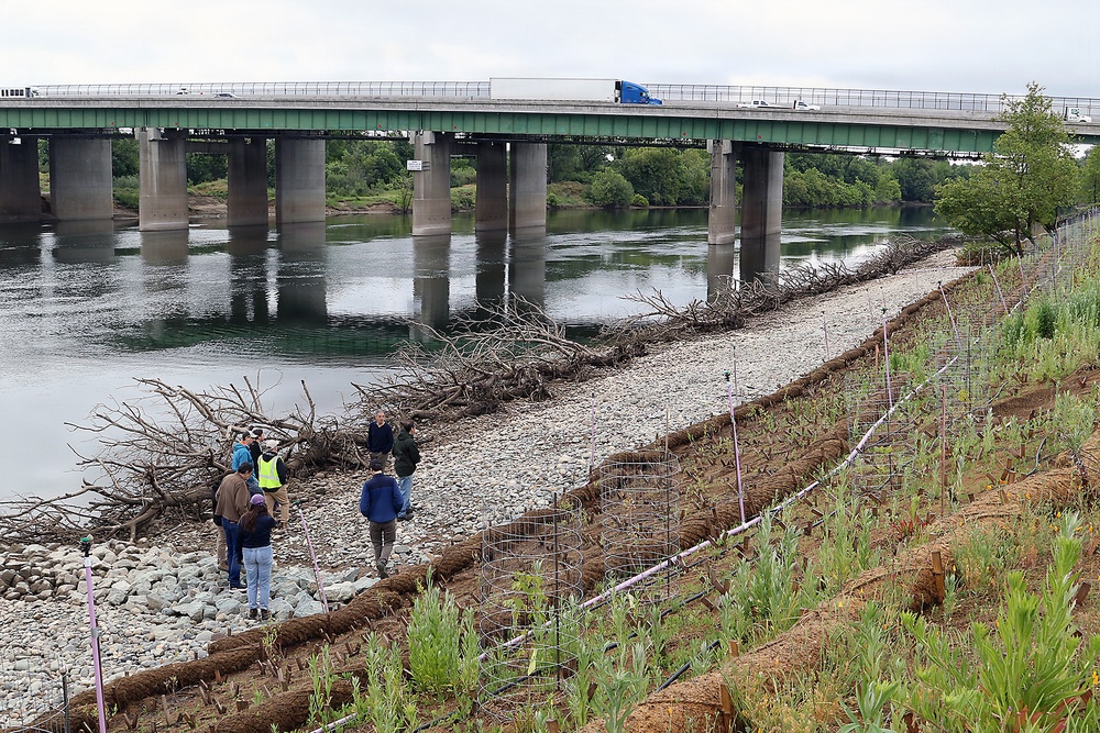Revisiting a Lower American River erosion protection project