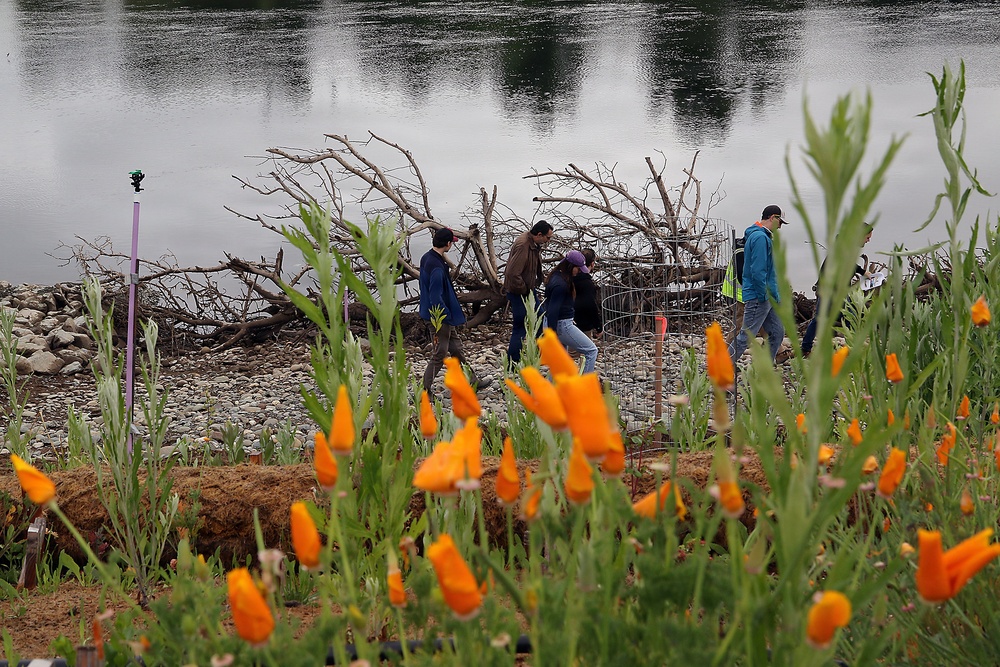 Revisiting a Lower American River erosion protection project