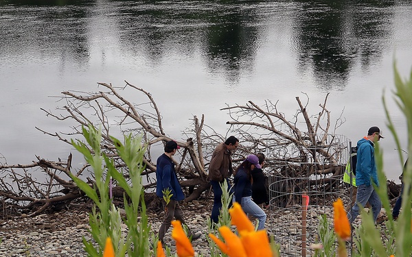 Revisiting a Lower American River erosion protection project