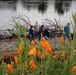 Revisiting a Lower American River erosion protection project