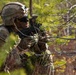 Soldiers conduct squad situational training exercise lanes at Saber Strike