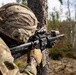 Infantry squad live fire at Saber Strike