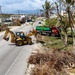 Clearing the Way Along Beach Road