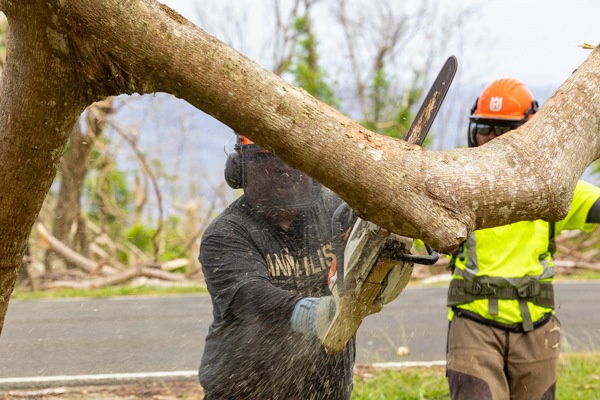Crews Begin Clearing Marpi's Storm Debris