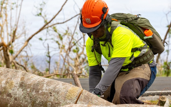 Crews Begin Clearing Marpi's Storm Debris