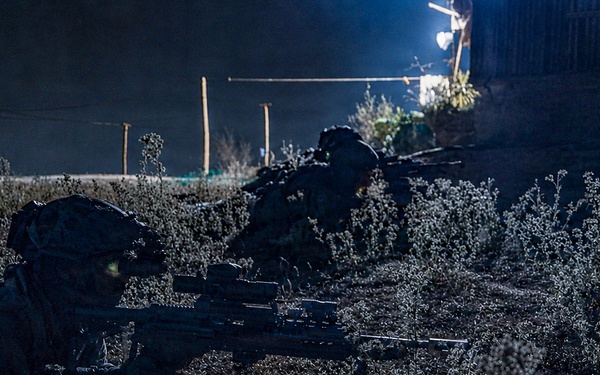 Salaknib 2026: 2nd Battalion, 35th Infantry Regiment, 3rd Mobile Brigade, 25th Infantry Division Air Assault