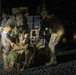 Salaknib 2026: Task Force Saber conducts Night Air Assault with 3rd Mobile Brigade and Philippine Army, 1st Brigade Combat Team