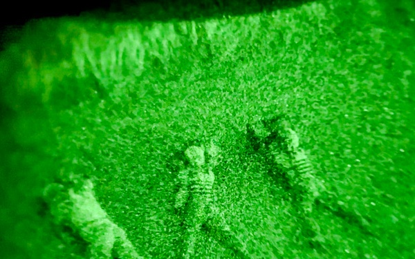 Salaknib 2026: Task Force Saber conducts Night Air Assault with 3rd Mobile Brigade and Philippine Army, 1st Brigade Combat Team