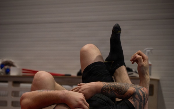 U.S. Army, Estonian Land Forces learn mixed martial arts from MMA Frontline Fighters
