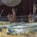 JTF-SB Marines reinforce barrier infrastructure in Nogales