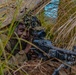 Salaknib 2026: 2nd Battalion, 27th Infantry Regiment, 3rd Mobile Brigade, 25th Infantry Division AT Platoon Firing Point