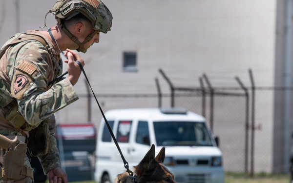 Released Captain Emma Quirk 374th Airlift Wing emma.quirk.1@us.af.mil via DVIDS