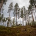 4-70AR STX in Finland
