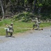 M17 range