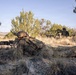 Ivy Mass - Piñon Canyon Maneuver Site