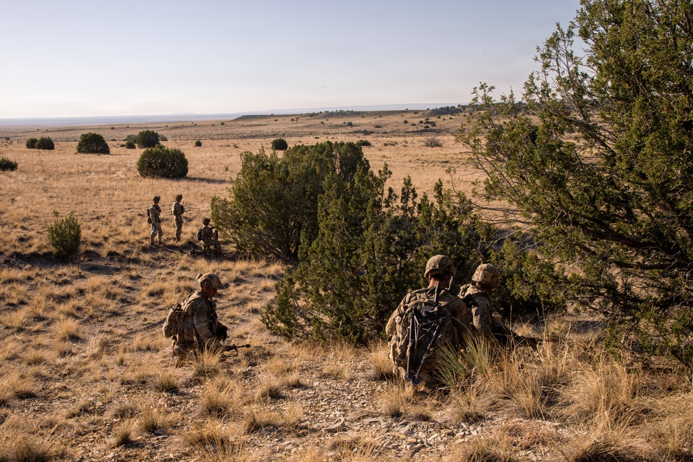 Ivy Mass - Piñon Canyon Maneuver Site