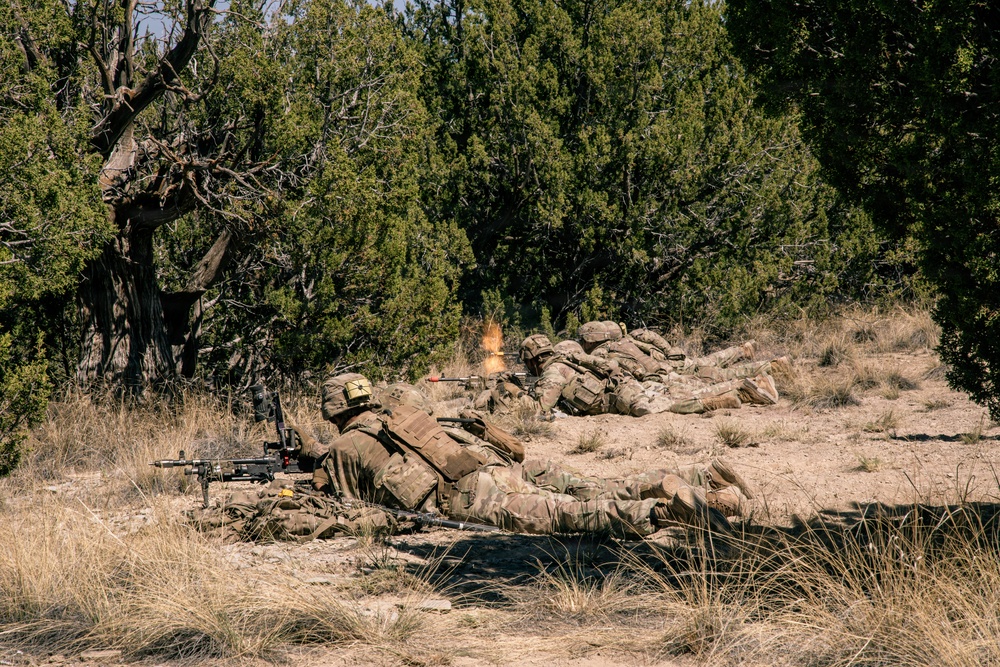 Ivy Mass - Piñon Canyon Maneuver Site